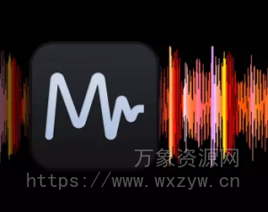 [音频分析显示工具]MiniMeters v0.8.19 Beta [WiN, MacOSX, Linux]（61Mb）