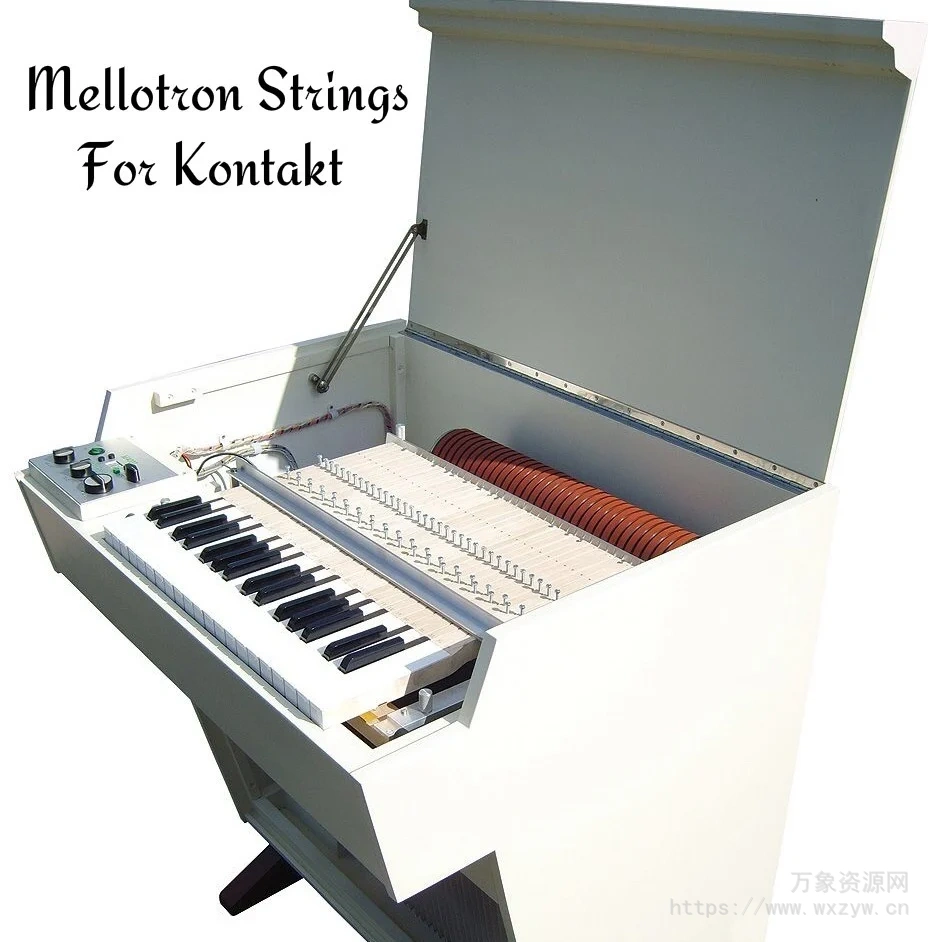 [模拟弦乐音源]PastToFutureReverbs Mellotron Strings [KONTAKT]（313.85Mb）
