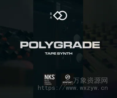 [磁带合成器音源]Battersea Audio Polygrade Tape Synth [KONTAKT]（653Mb）