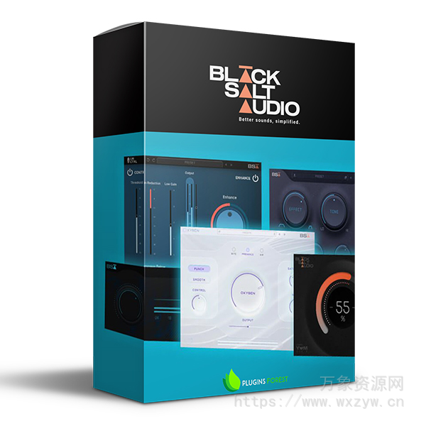 [Black Salt 音频套装]Black Salt Audio Complete Bundle 2024-02 [WiN]（163MB）
