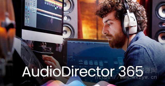 [音频编辑软件] CyberLink AudioDirector Ultra 2024 v14.4.4024.0 [WiN]（142Mb）