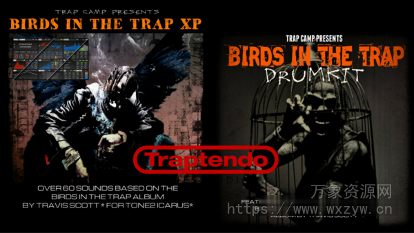 [嘻哈陷阱采样Icarus预置FL工程模板]Trap Camp Entertainment The Flock Bundle（36Mb）