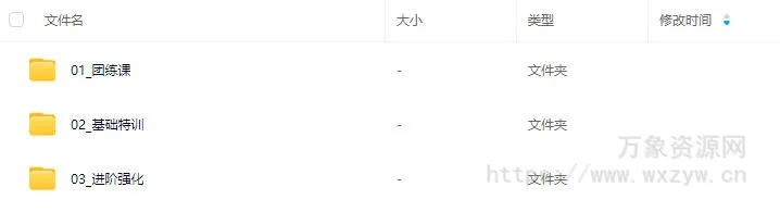 翔腿颓ipad插画教学2024年基础+进阶【画质高清只有视频】