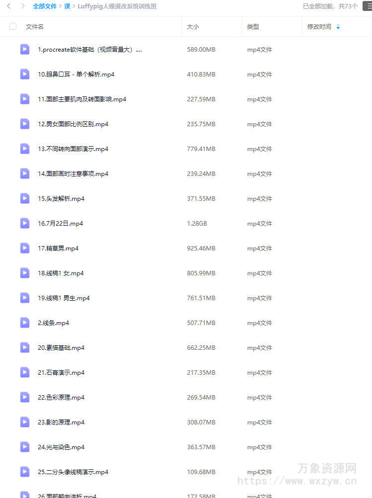 Luffypig人像漫改系统训练班2023【画质不错只有视频】