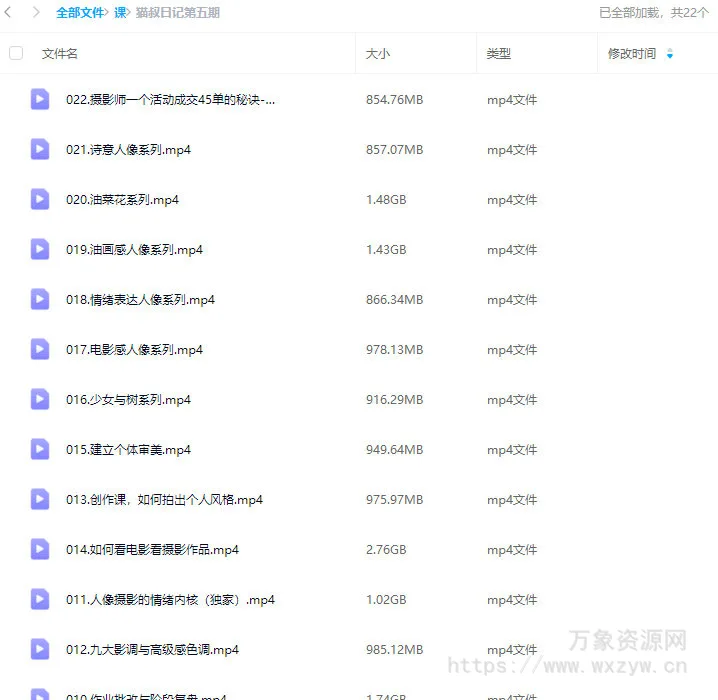 猫叔日记人像摄影第5期2024【画质不错只有视频】