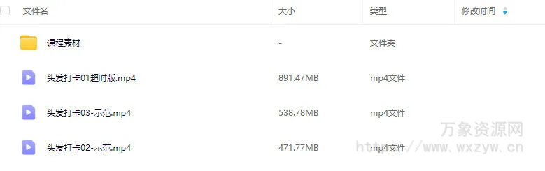 念萦墨葵七天头发打卡练习2025【画质还行有课件笔刷】