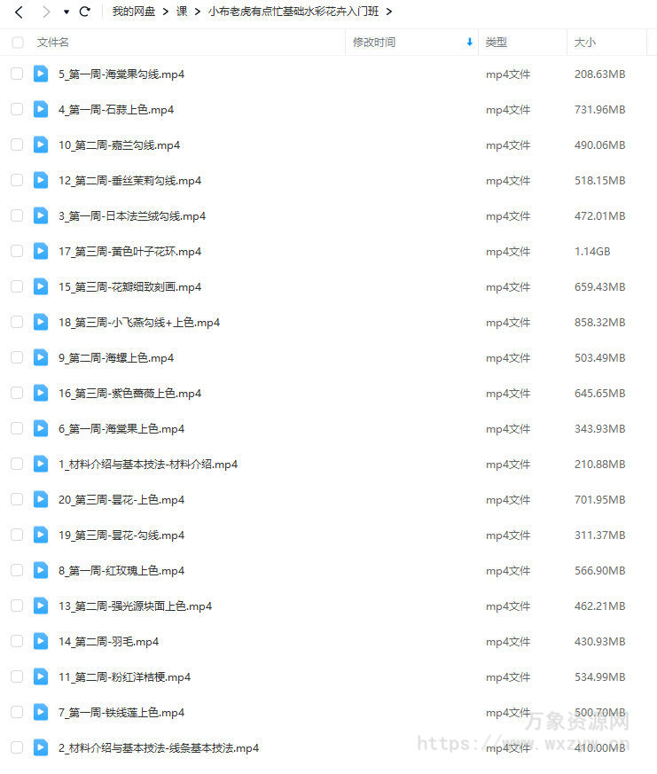 小布老虎有点忙基础水彩花卉入门班【画质不错只有视频】