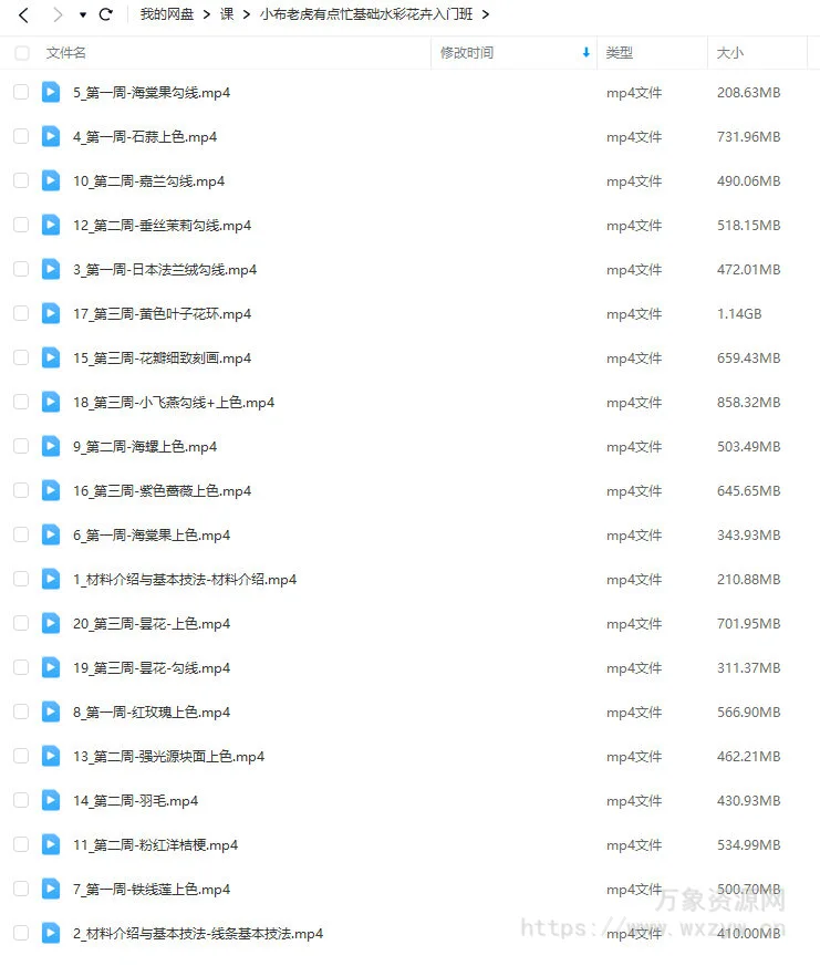 小布老虎有点忙基础水彩花卉入门班【画质不错只有视频】