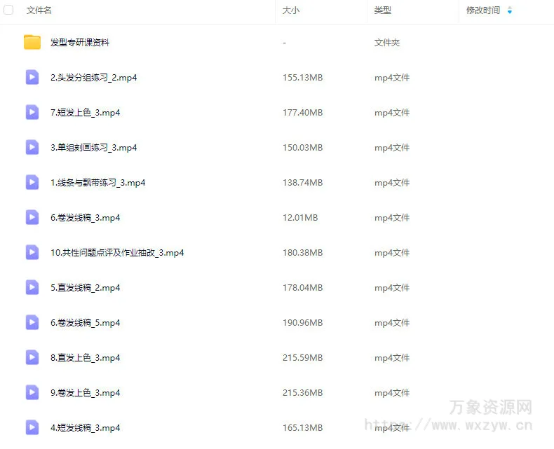 俏皮小罗发型专研课【画质还行有课件】