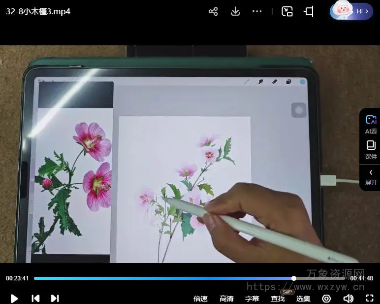 【缺课】池汐2024ipad水彩花卉花时十二月历花【画质不错只有视频】