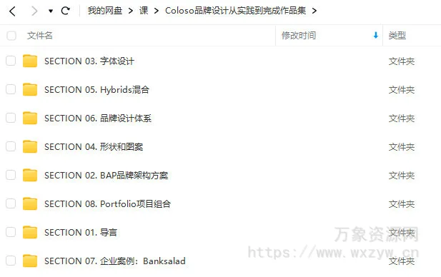 Coloso品牌设计从实践到完成作品集【画质高清只有视频】