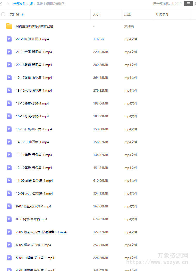 风绽主观概括特训营【画质不错有作业包】