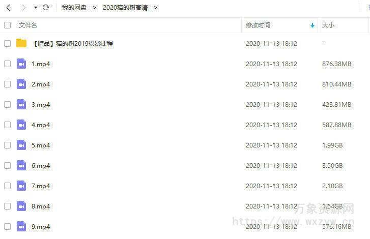 猫的树2020年剧情类短片高级课程(2020年6月)