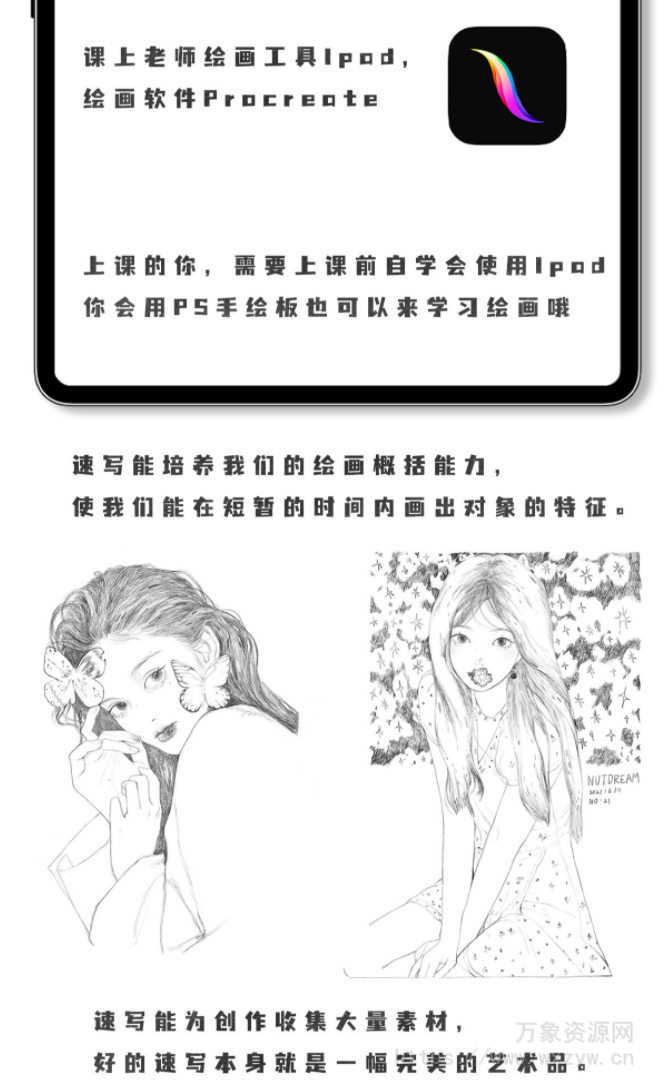 nutdream速写ipad插画课【画质还行有笔刷课件】