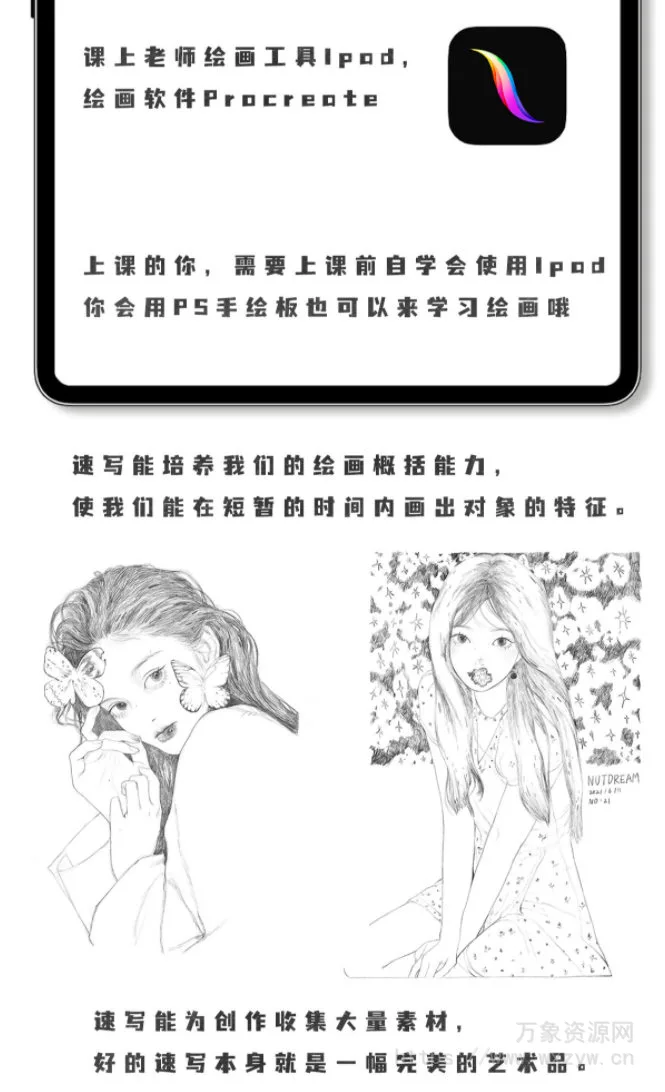 nutdream速写ipad插画课【画质还行有笔刷课件】