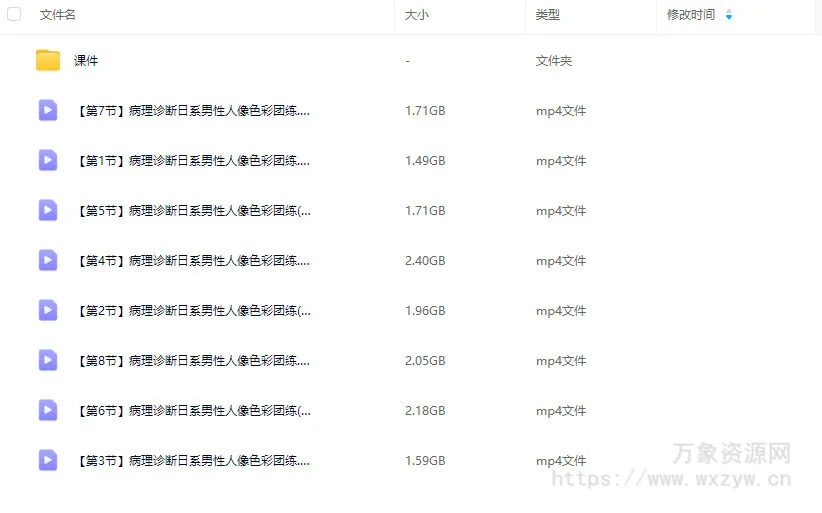 病理诊断日系男性人像色彩团练2025【画质高清有课件】