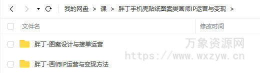 【缺课】胖丁画师IP运营与变现方法+图案设计与接单运营【画质不错只有视频】