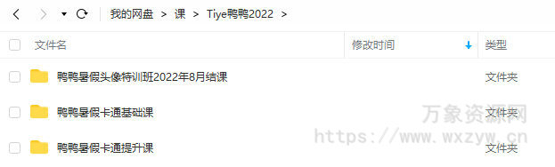 Tiye鸭鸭ipad插画课2022年8月结课【画质还行有笔刷】