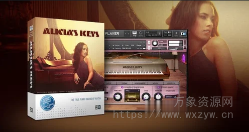 [爱丽丝钢琴音源] Native Instruments Alicias Keys v1.5.0.3 [KONTAKT]（6.99GB）